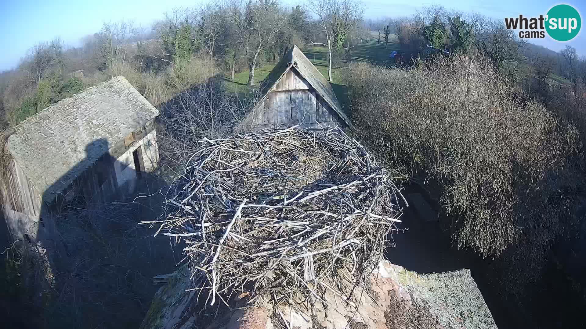 U živo Europsko selo roda – Park prirode Lonjsko polje
