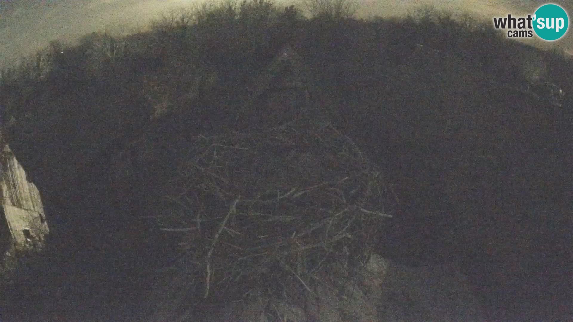 U živo Europsko selo roda – Park prirode Lonjsko polje