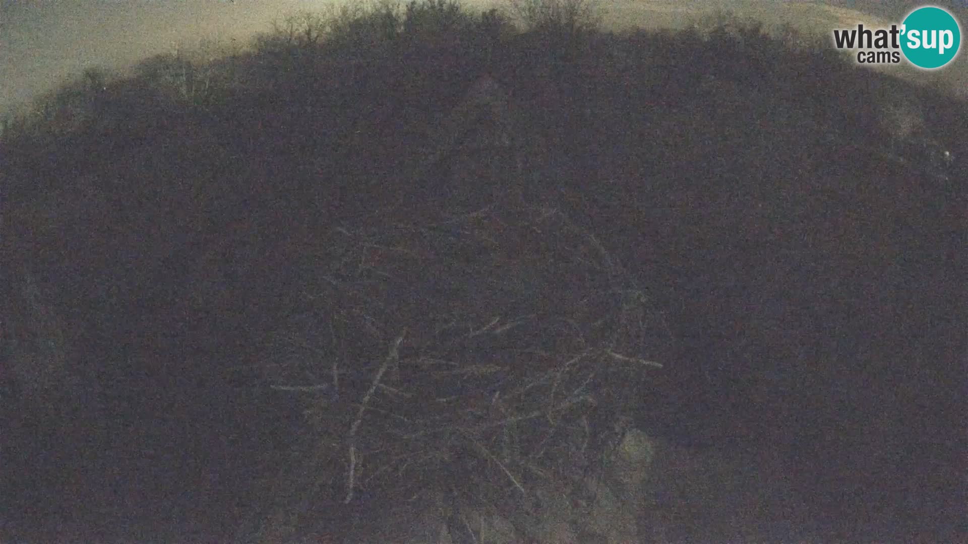 Villaggio delle cicogne europee webcam Parco naturale di Lonjsko polje