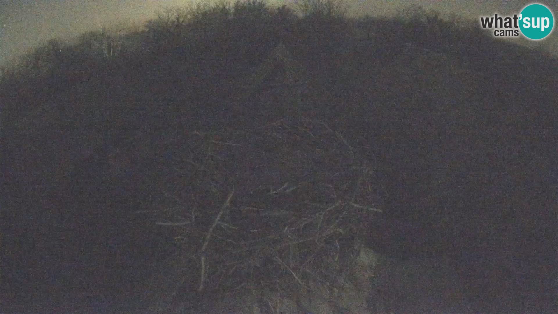 U živo Europsko selo roda – Park prirode Lonjsko polje