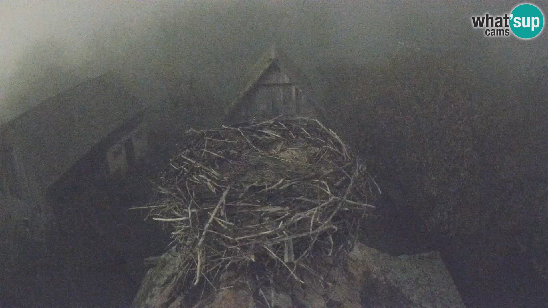 Webcam Europäisches Storchendorf – Naturpark Lonjsko polje