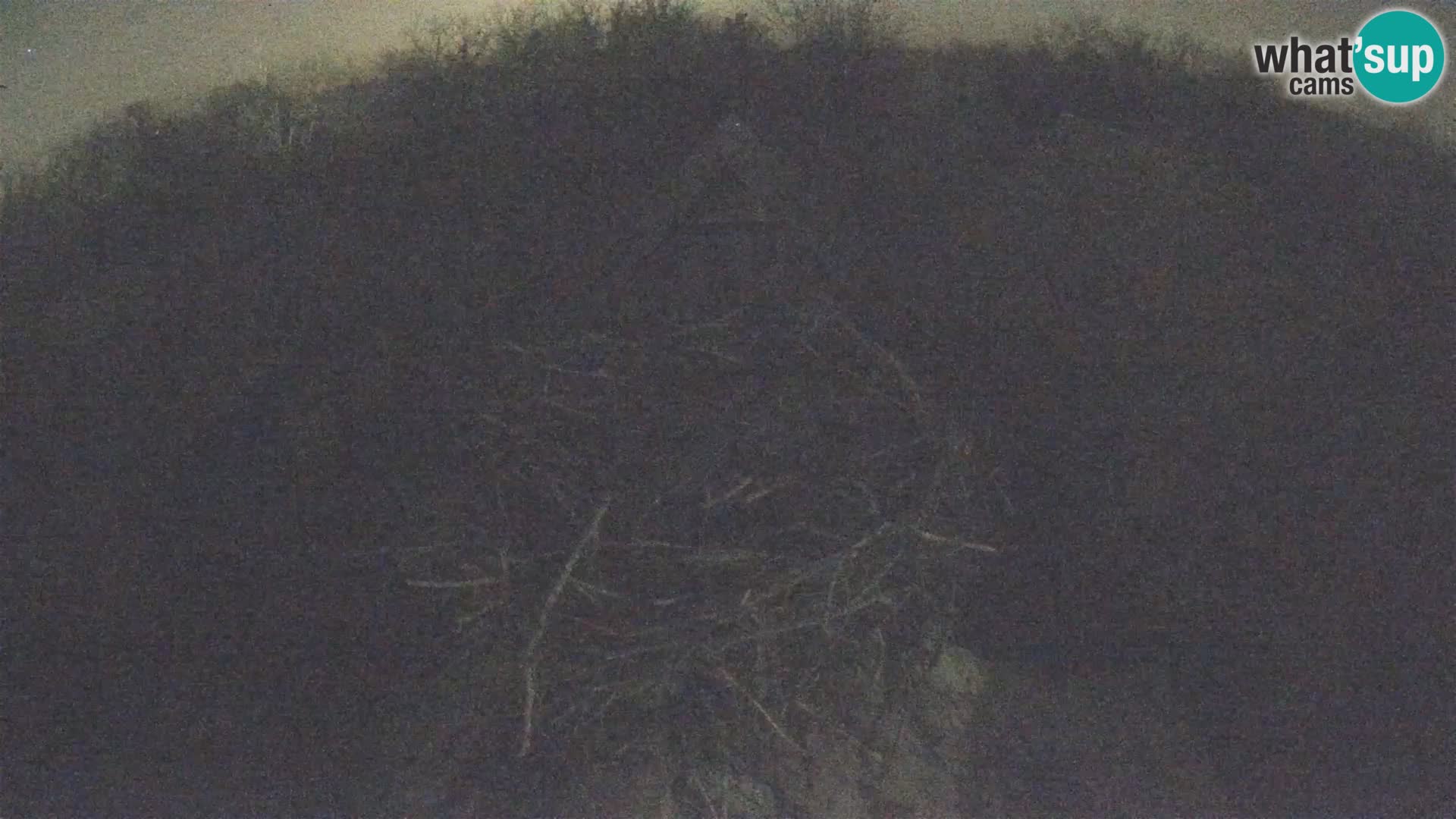 U živo Europsko selo roda – Park prirode Lonjsko polje