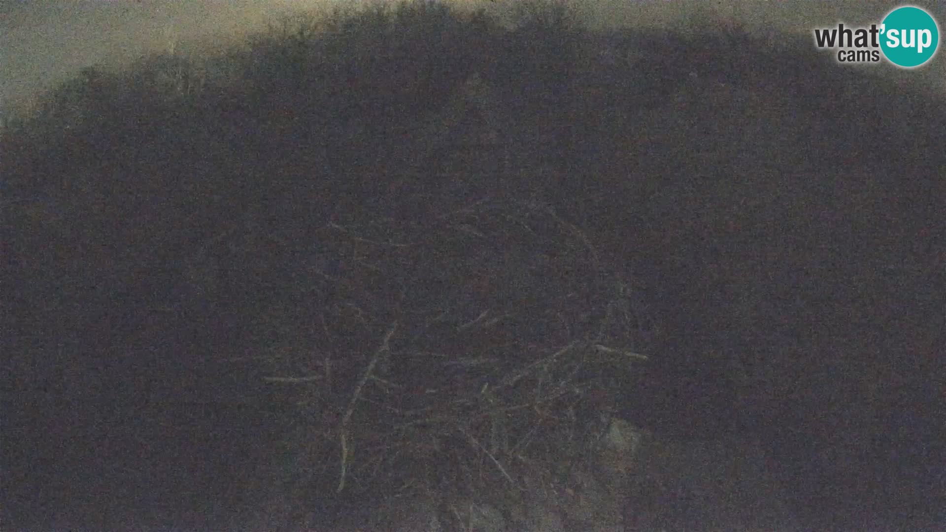 Village européen de cigognes webcam Parc naturel de Lonjsko polje