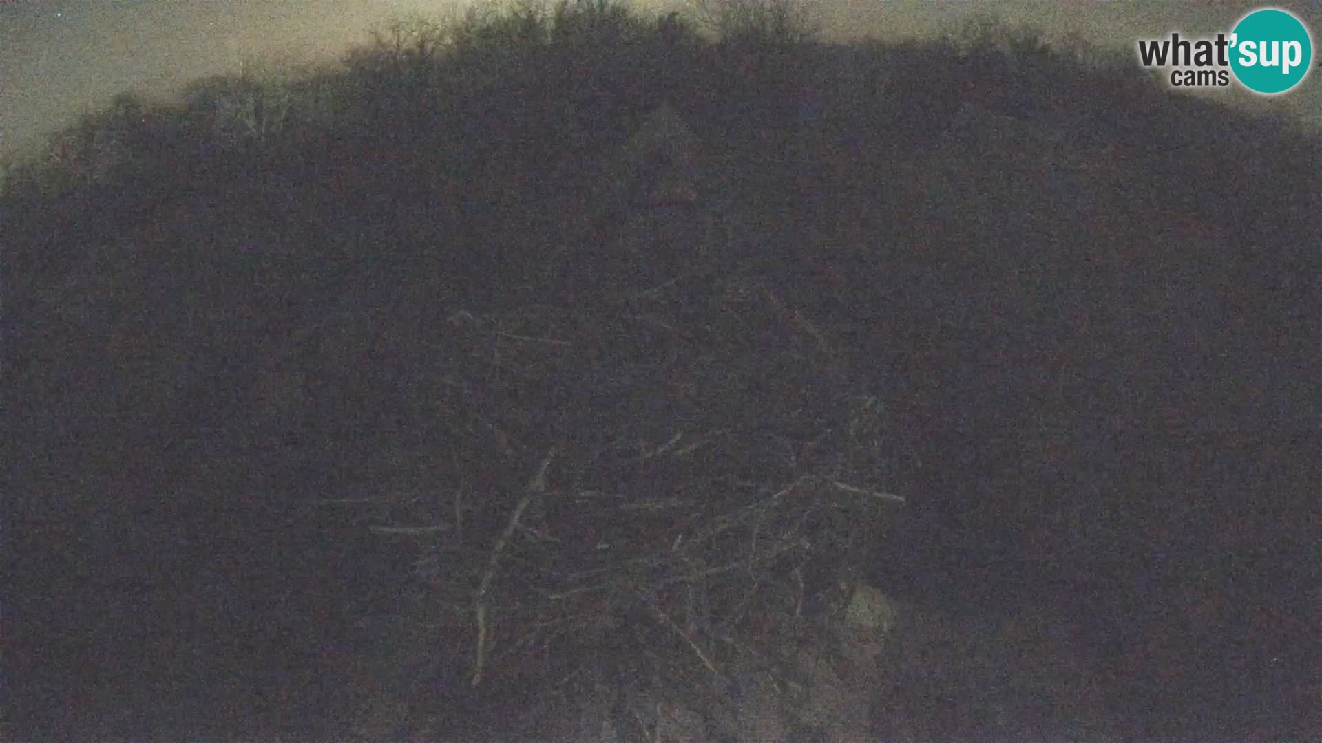 Evropska vas štorklje – Krajinski park Lonjsko polje spletna kamera