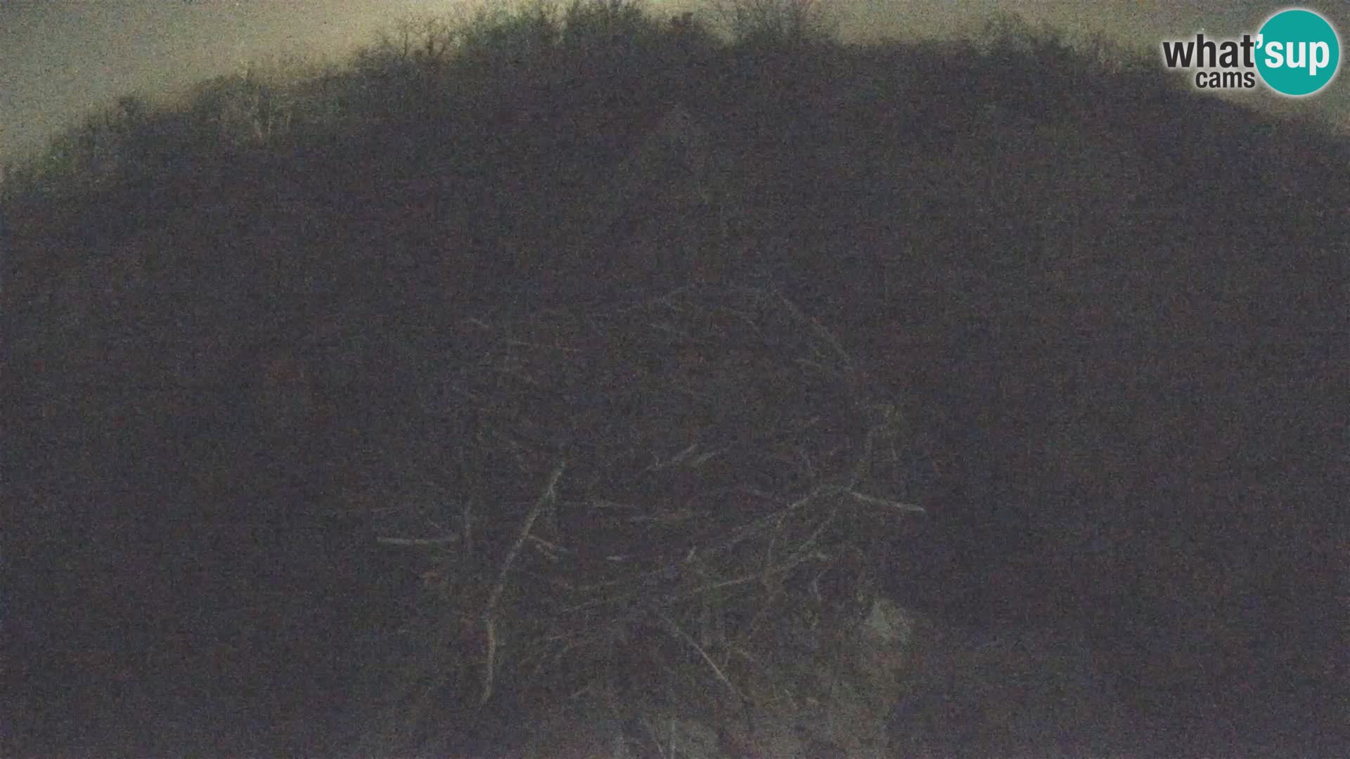 Villaggio delle cicogne europee webcam Parco naturale di Lonjsko polje