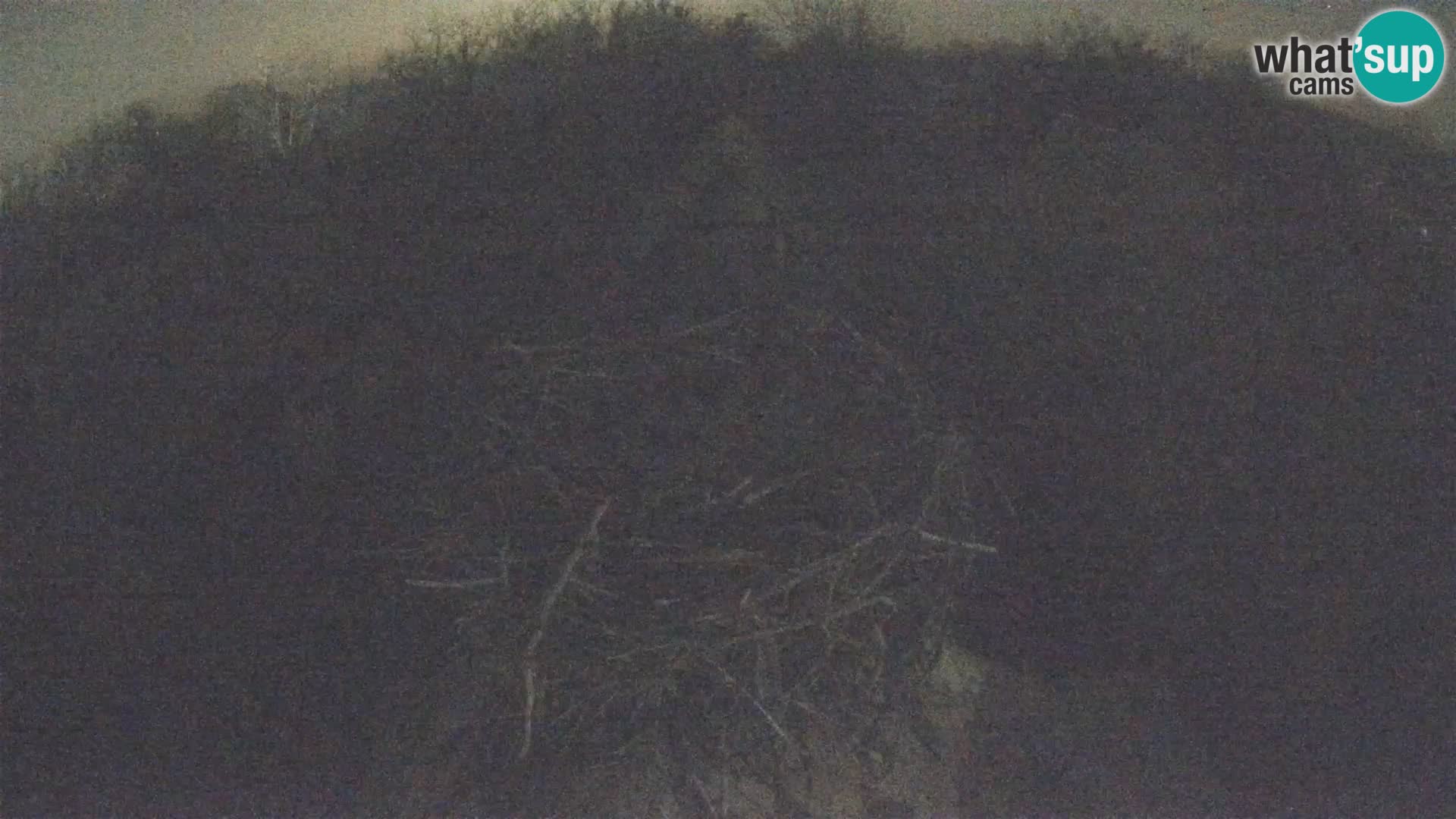 Pueblo europeo de cigüeñas camera en vivo Parque Natural Lonjsko polje