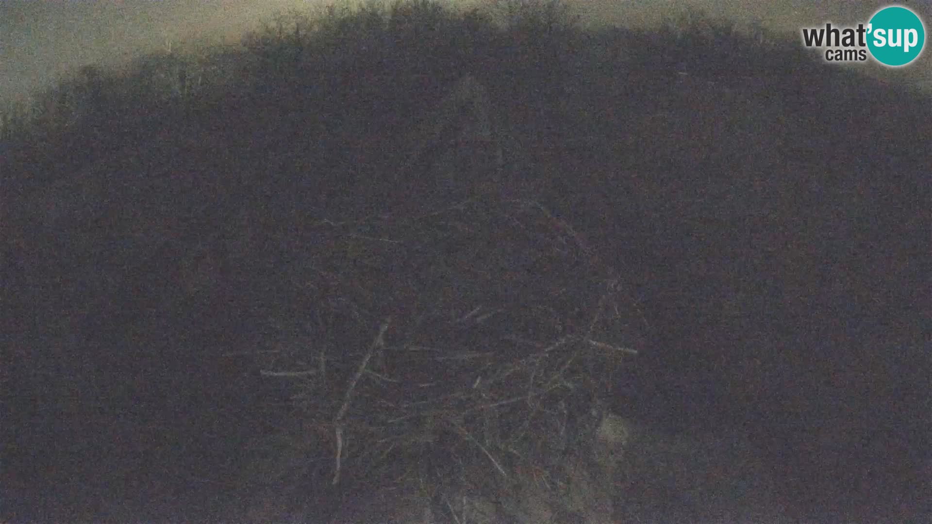 Village européen de cigognes webcam Parc naturel de Lonjsko polje