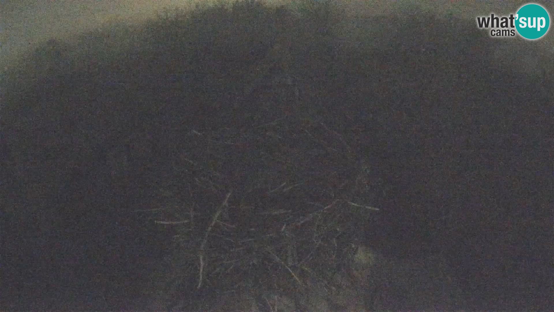 Pueblo europeo de cigüeñas camera en vivo Parque Natural Lonjsko polje