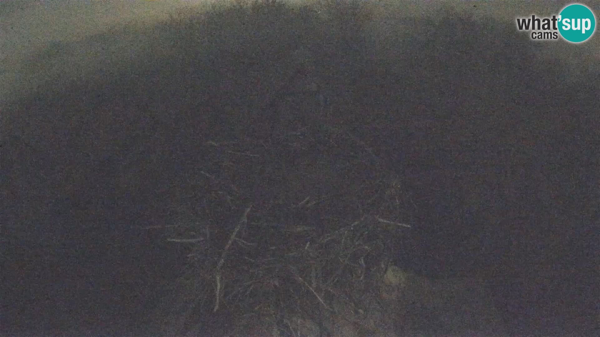 U živo Europsko selo roda – Park prirode Lonjsko polje