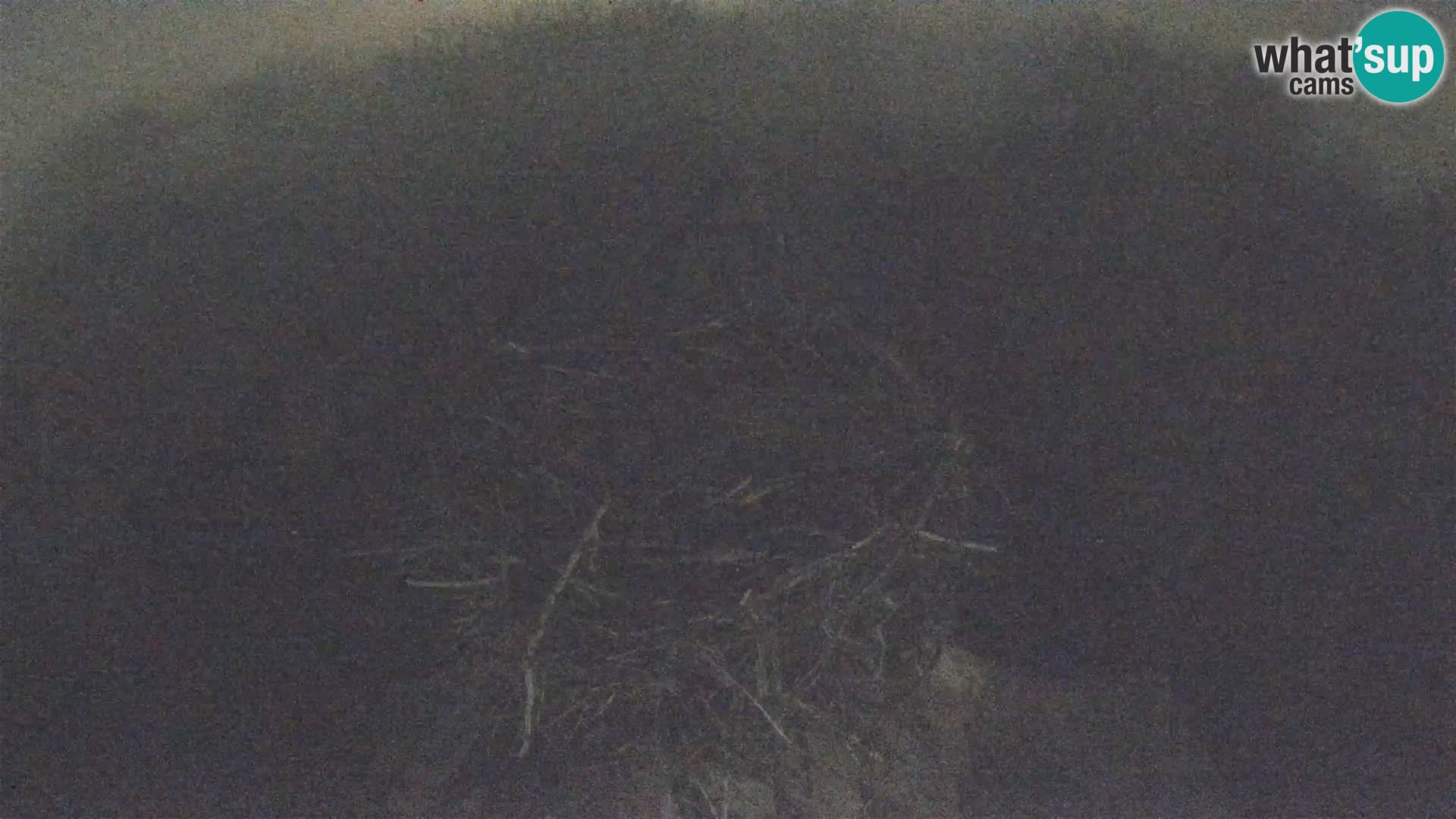 Webcam Europäisches Storchendorf – Naturpark Lonjsko polje