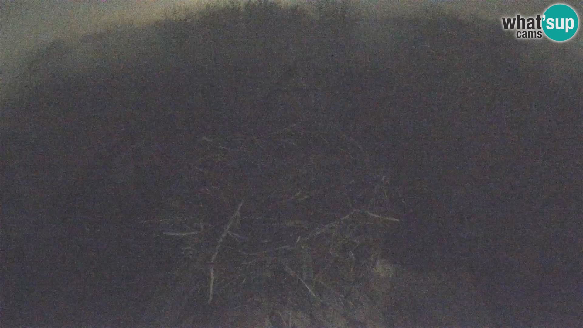 U živo Europsko selo roda – Park prirode Lonjsko polje