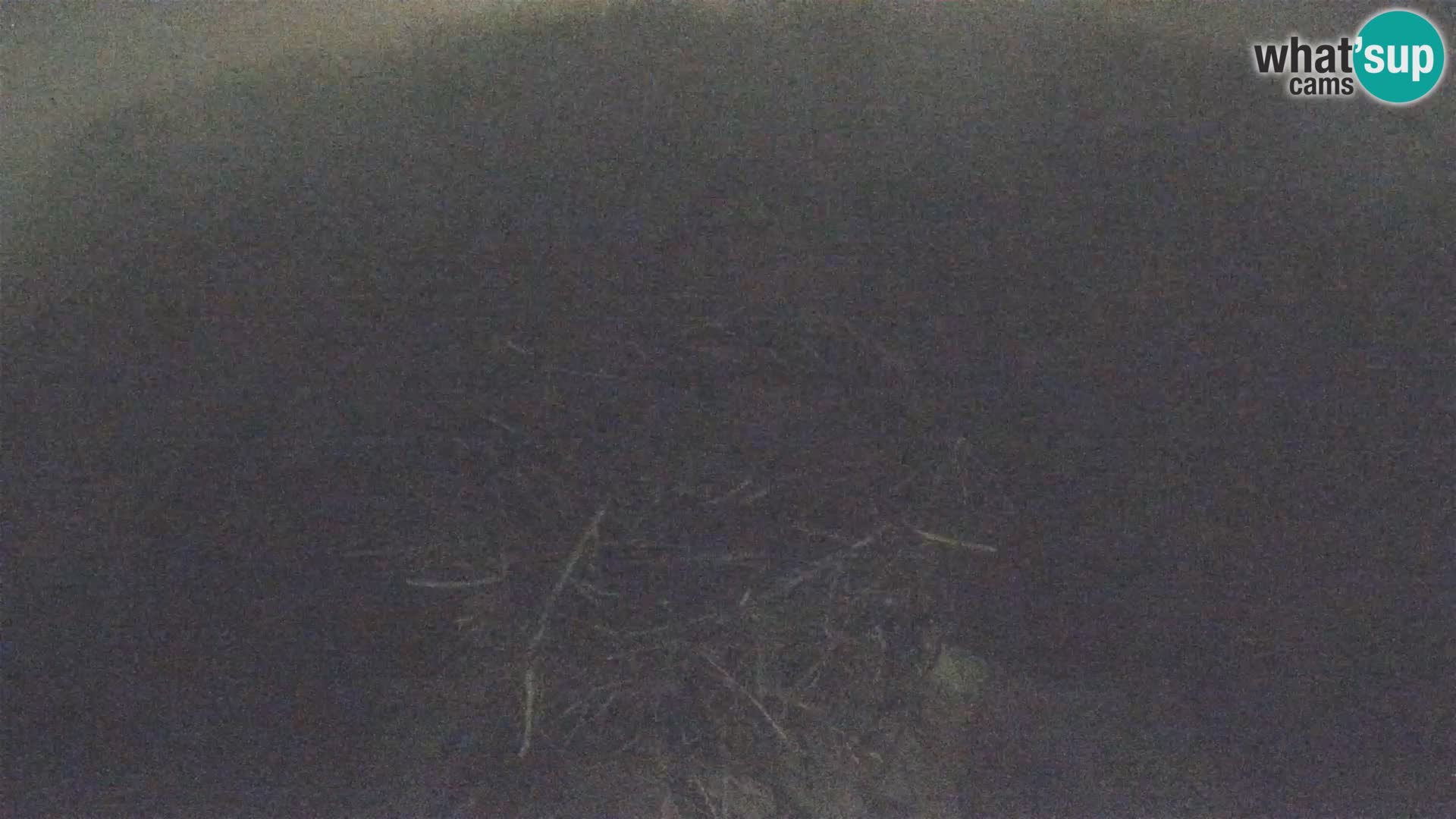 U živo Europsko selo roda – Park prirode Lonjsko polje