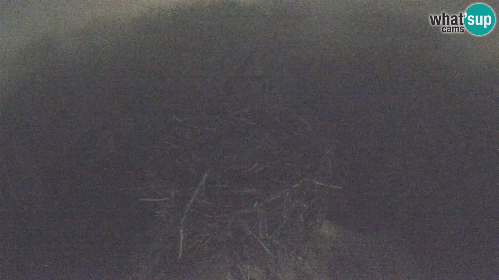 Villaggio delle cicogne europee webcam Parco naturale di Lonjsko polje