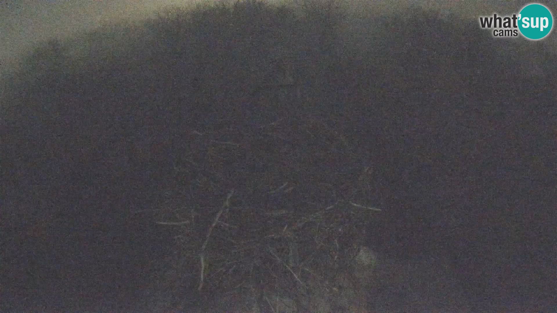 U živo Europsko selo roda – Park prirode Lonjsko polje