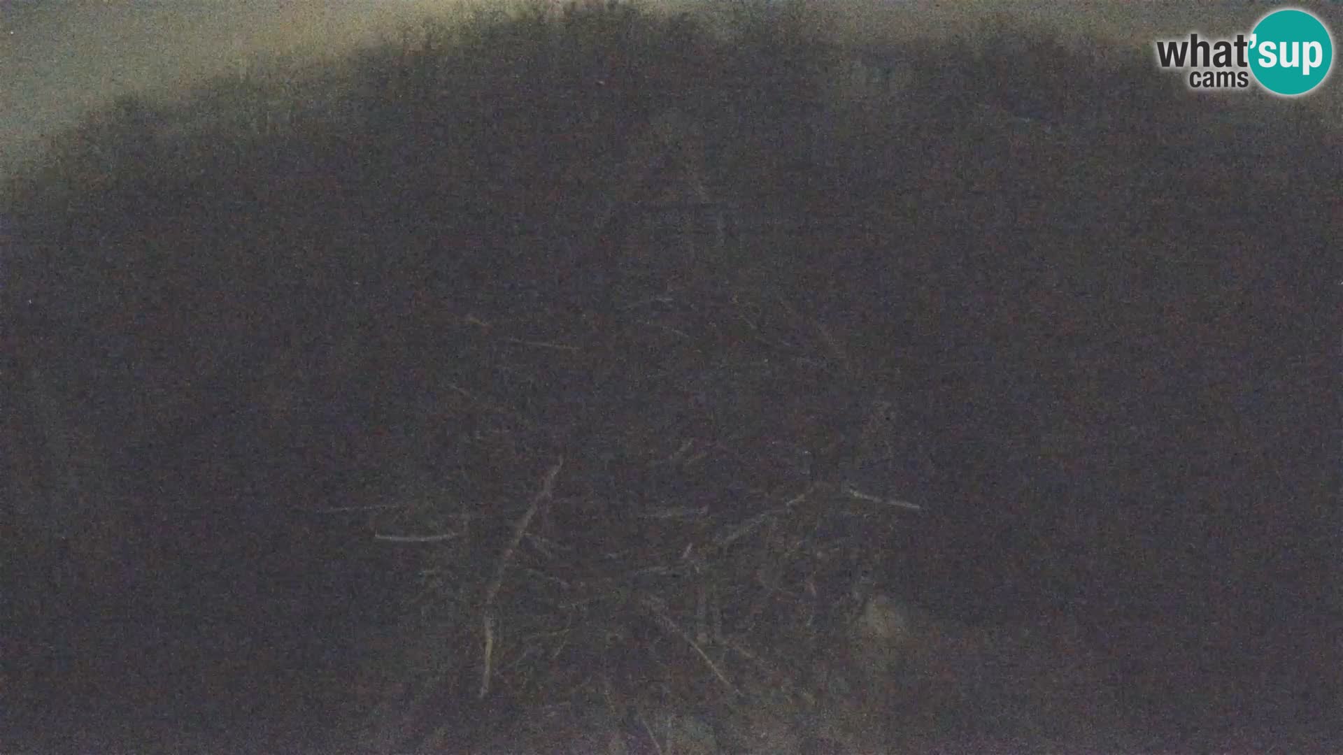 Village européen de cigognes webcam Parc naturel de Lonjsko polje