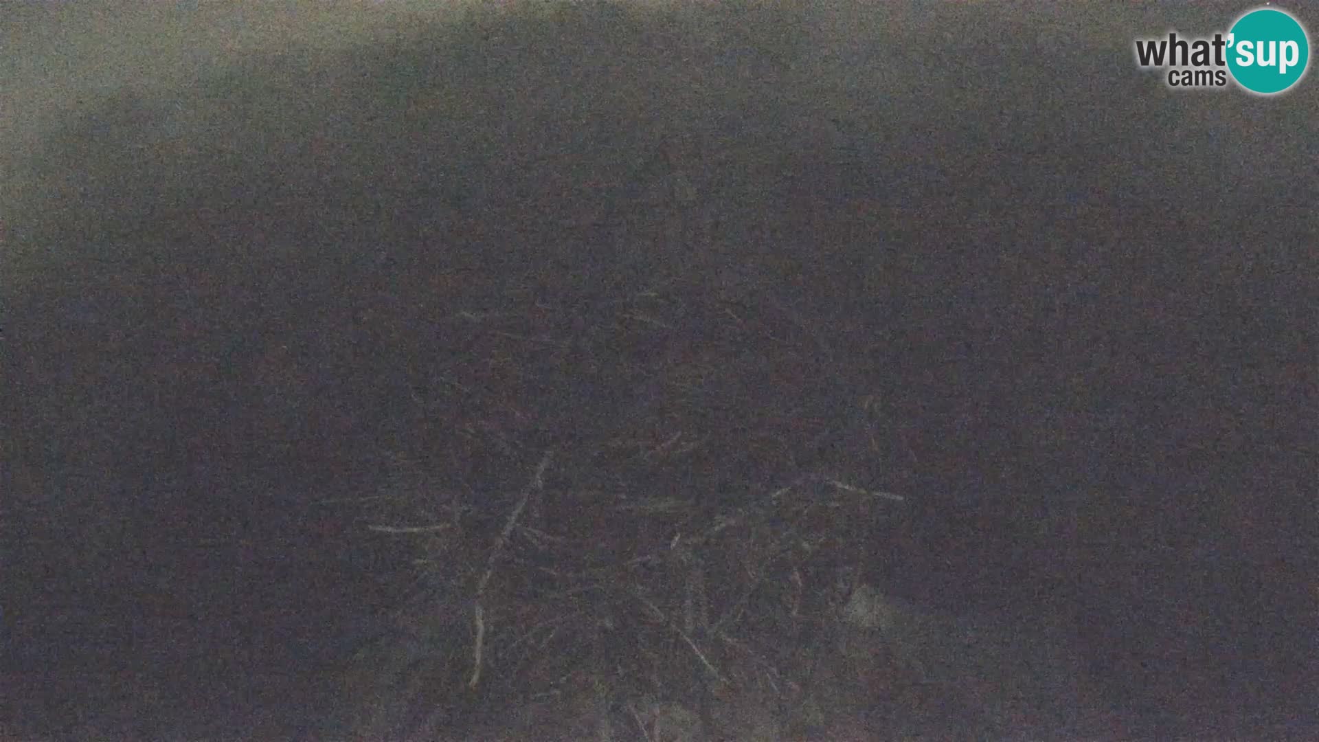 Village européen de cigognes webcam Parc naturel de Lonjsko polje