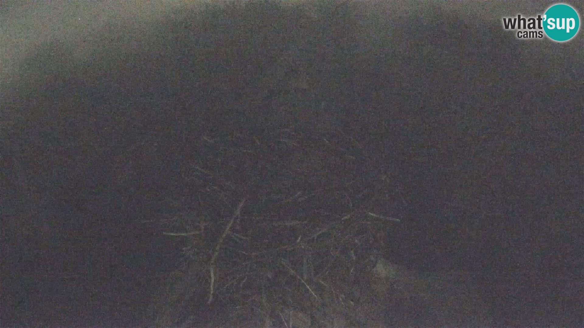 Pueblo europeo de cigüeñas camera en vivo Parque Natural Lonjsko polje