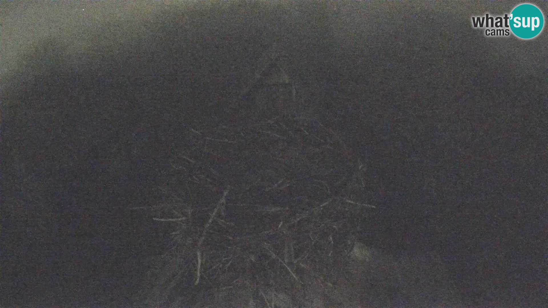 Villaggio delle cicogne europee webcam Parco naturale di Lonjsko polje