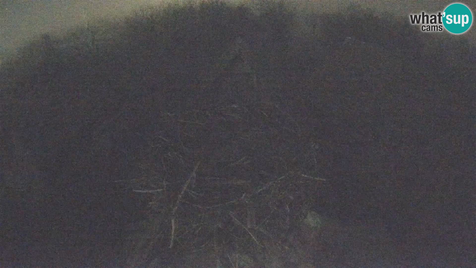 Village européen de cigognes webcam Parc naturel de Lonjsko polje