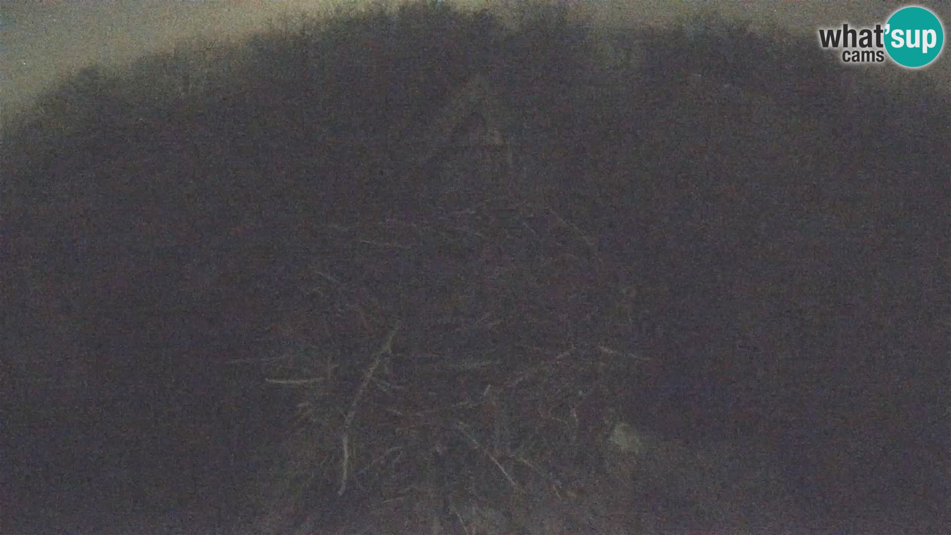 U živo Europsko selo roda – Park prirode Lonjsko polje