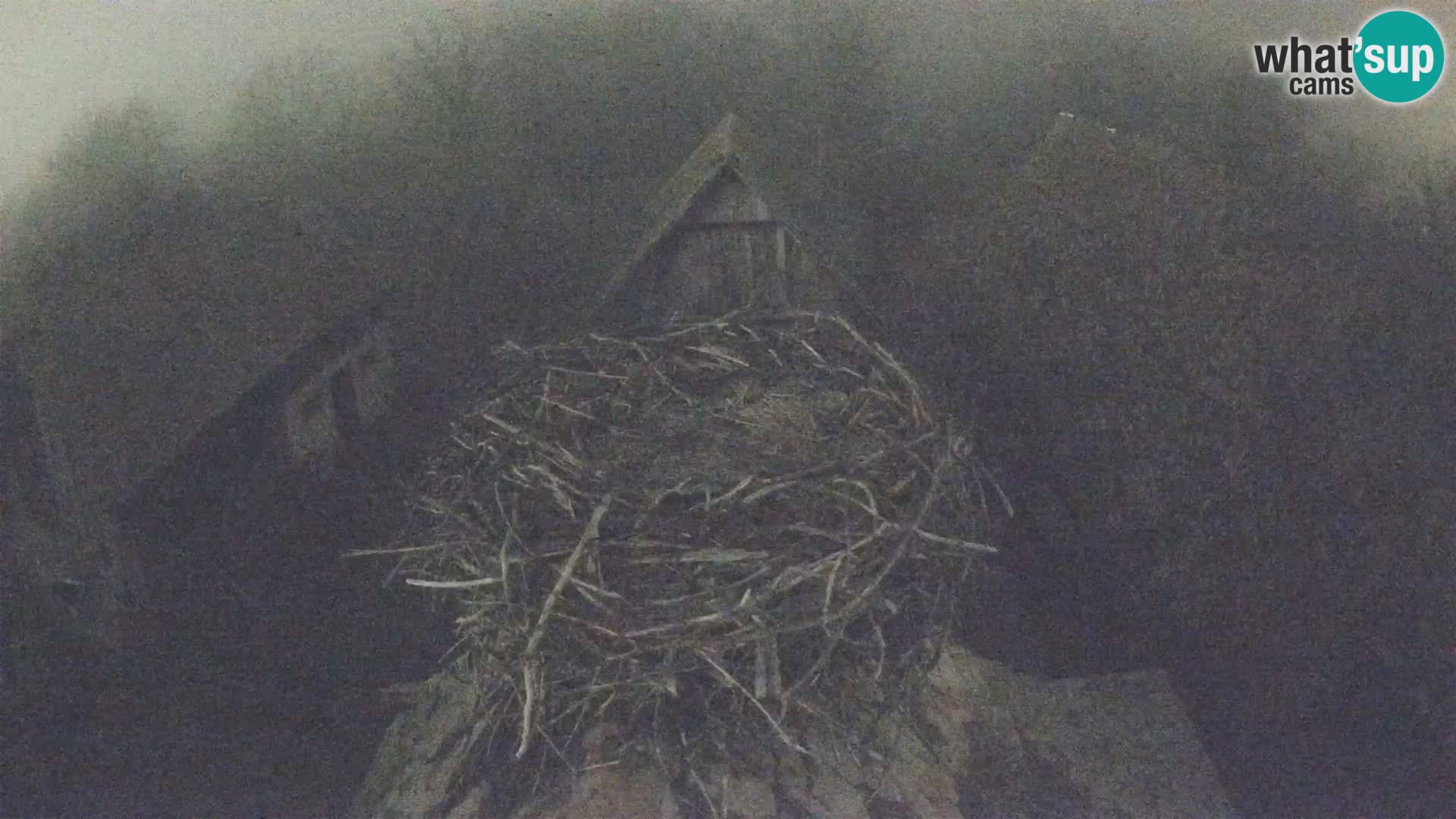 U živo Europsko selo roda – Park prirode Lonjsko polje