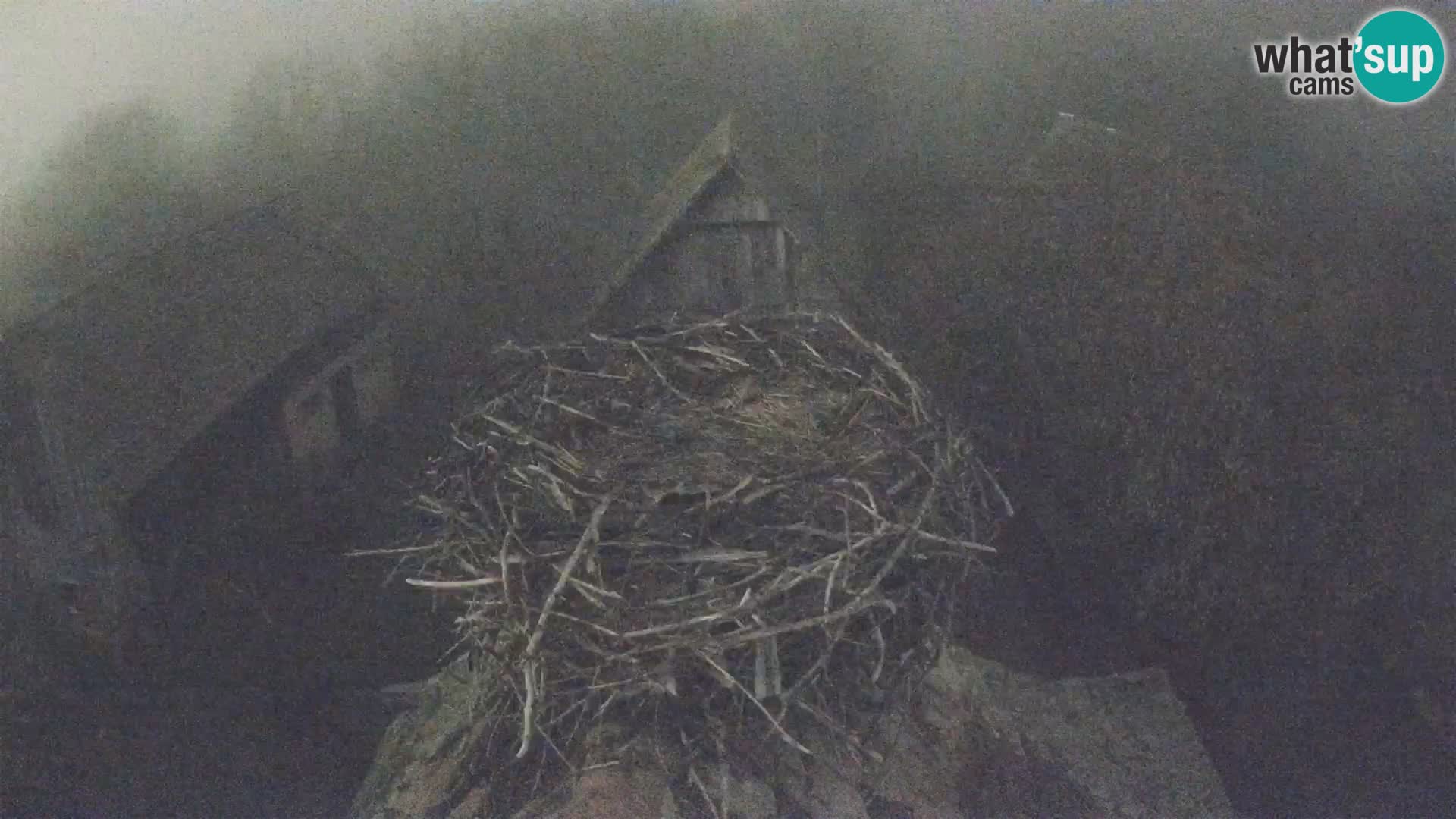 U živo Europsko selo roda – Park prirode Lonjsko polje