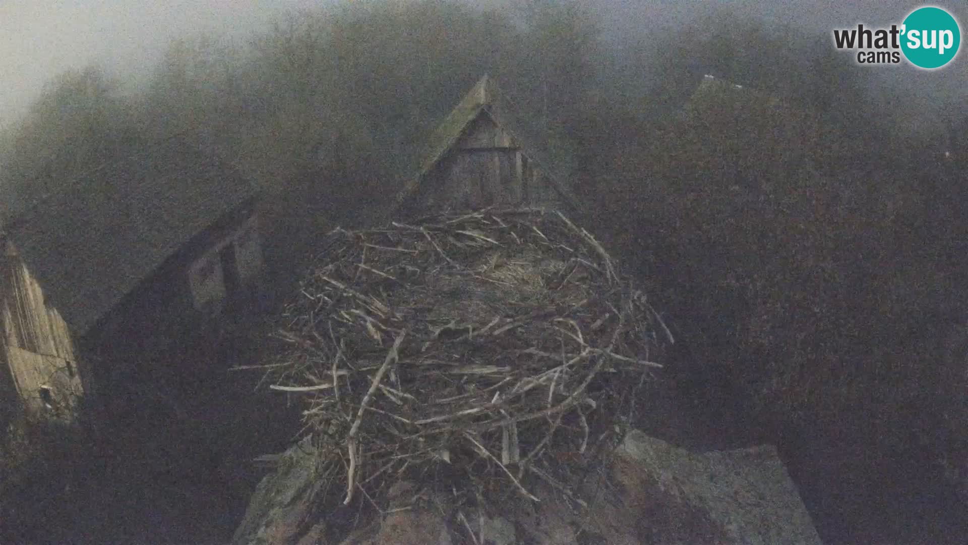 U živo Europsko selo roda – Park prirode Lonjsko polje