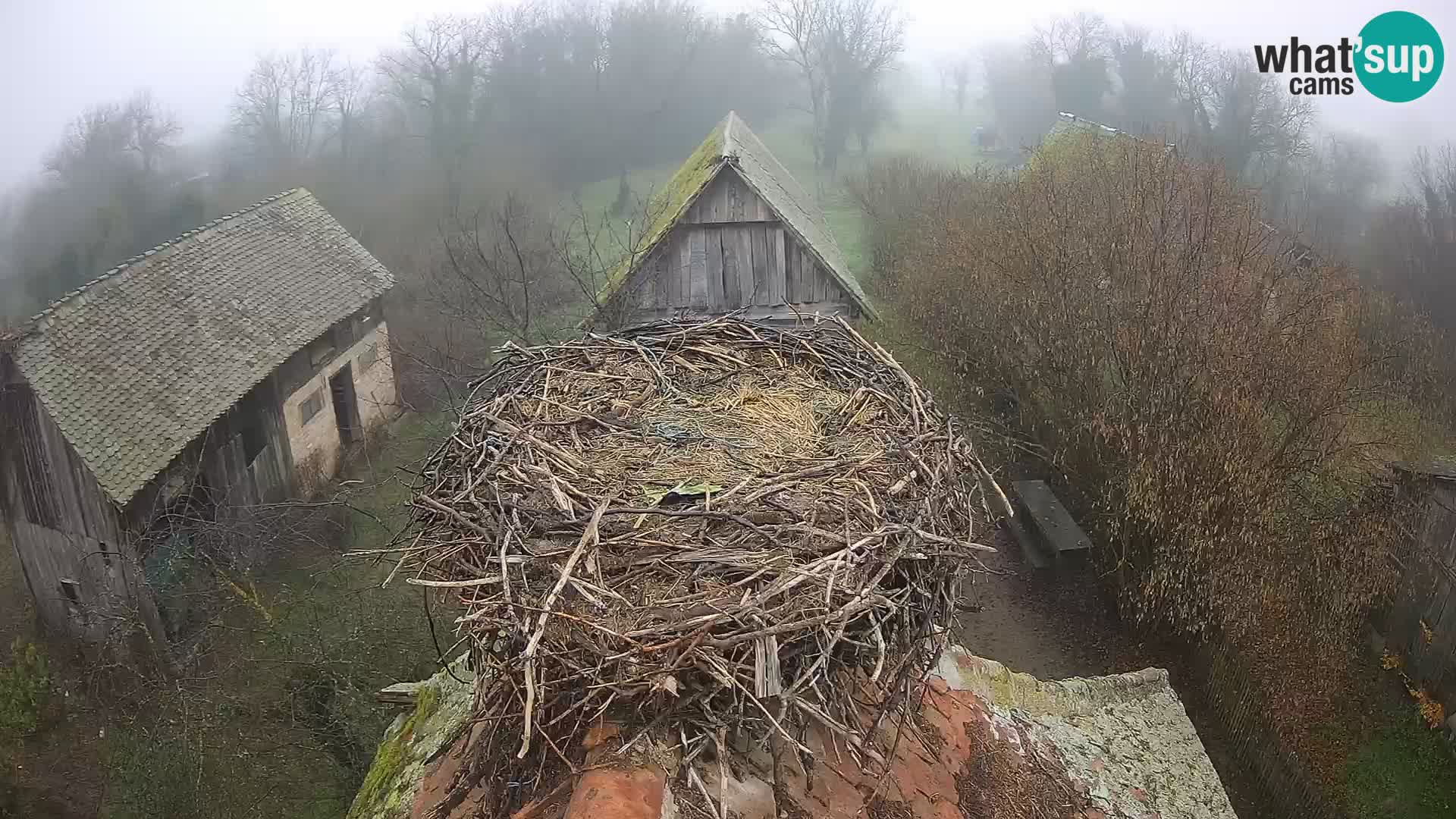 U živo Europsko selo roda – Park prirode Lonjsko polje