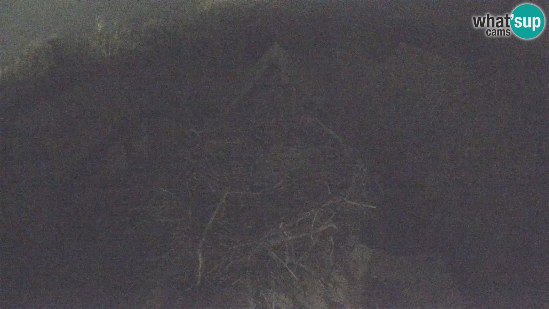 U živo Europsko selo roda – Park prirode Lonjsko polje