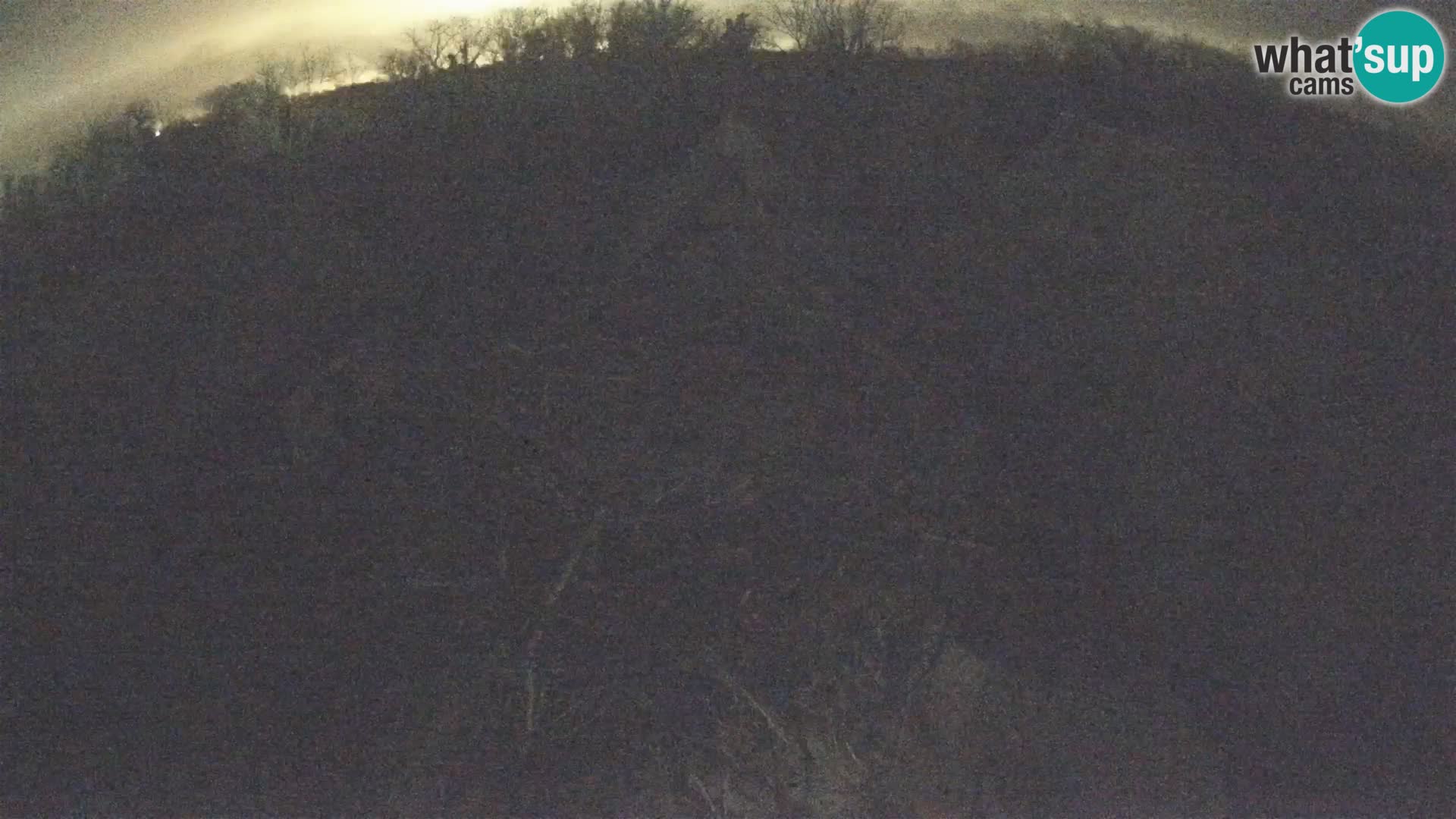 Evropska vas štorklje – Krajinski park Lonjsko polje spletna kamera