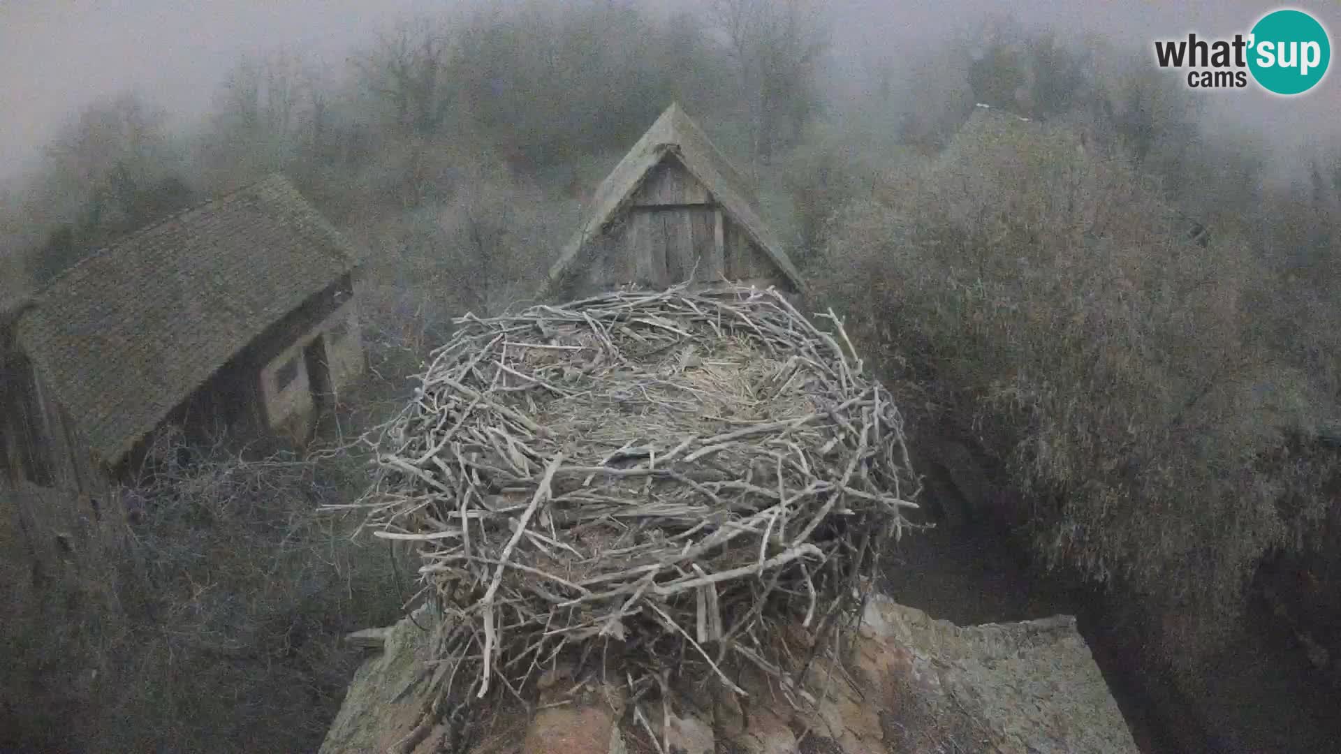U živo Europsko selo roda – Park prirode Lonjsko polje