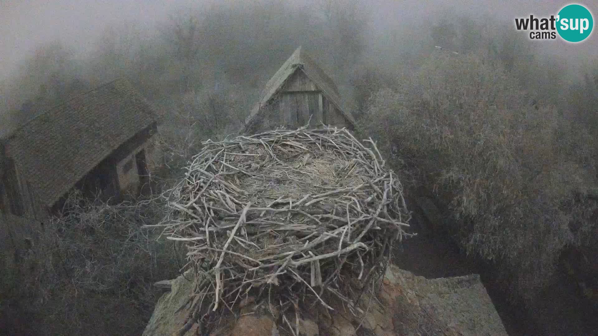 U živo Europsko selo roda – Park prirode Lonjsko polje