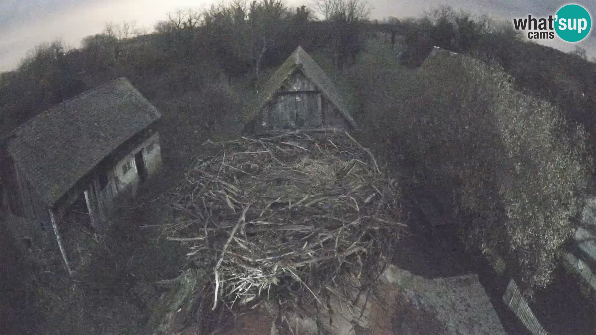 Webcam Europäisches Storchendorf – Naturpark Lonjsko polje