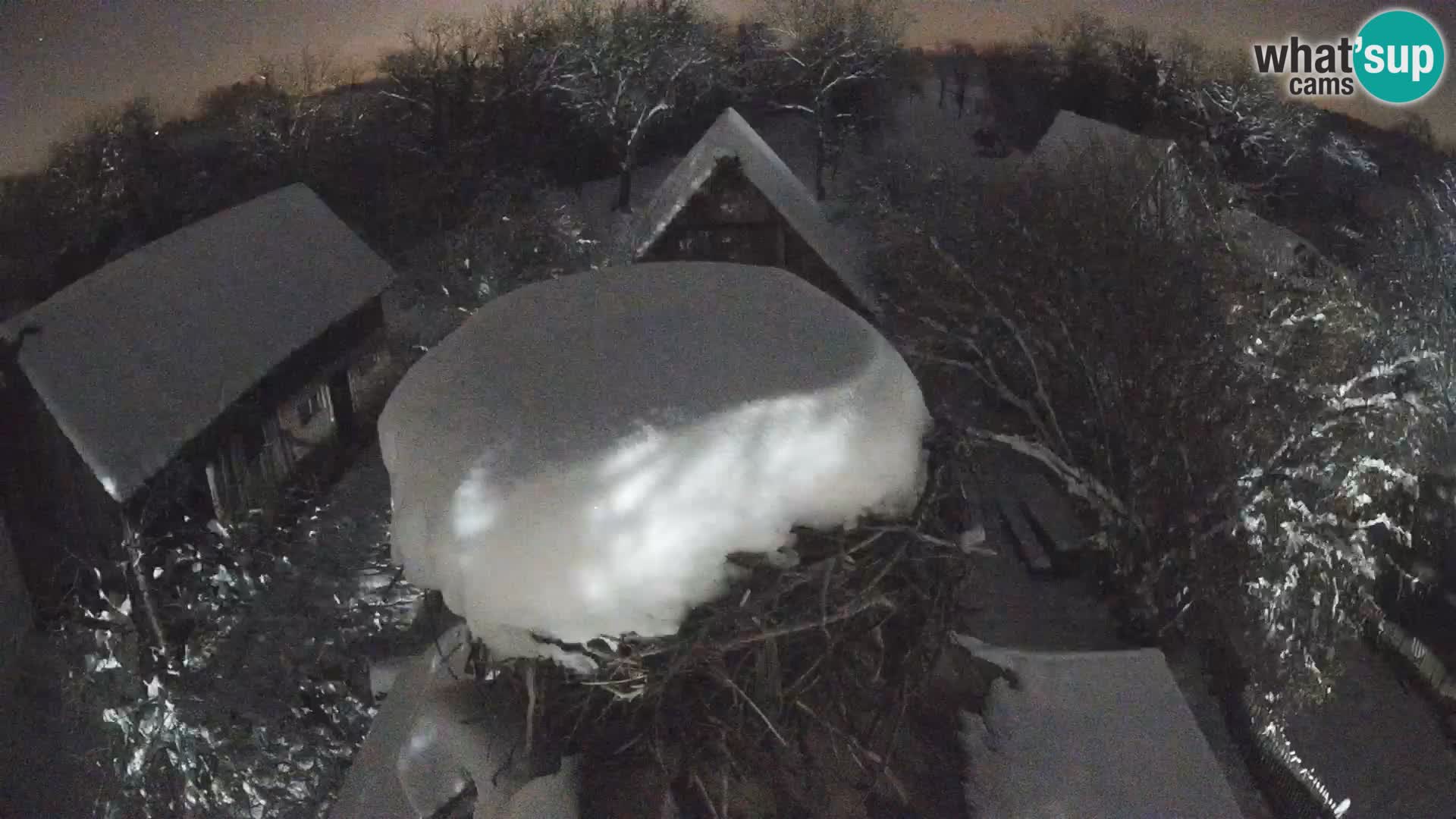 Evropska vas štorklje – Krajinski park Lonjsko polje spletna kamera