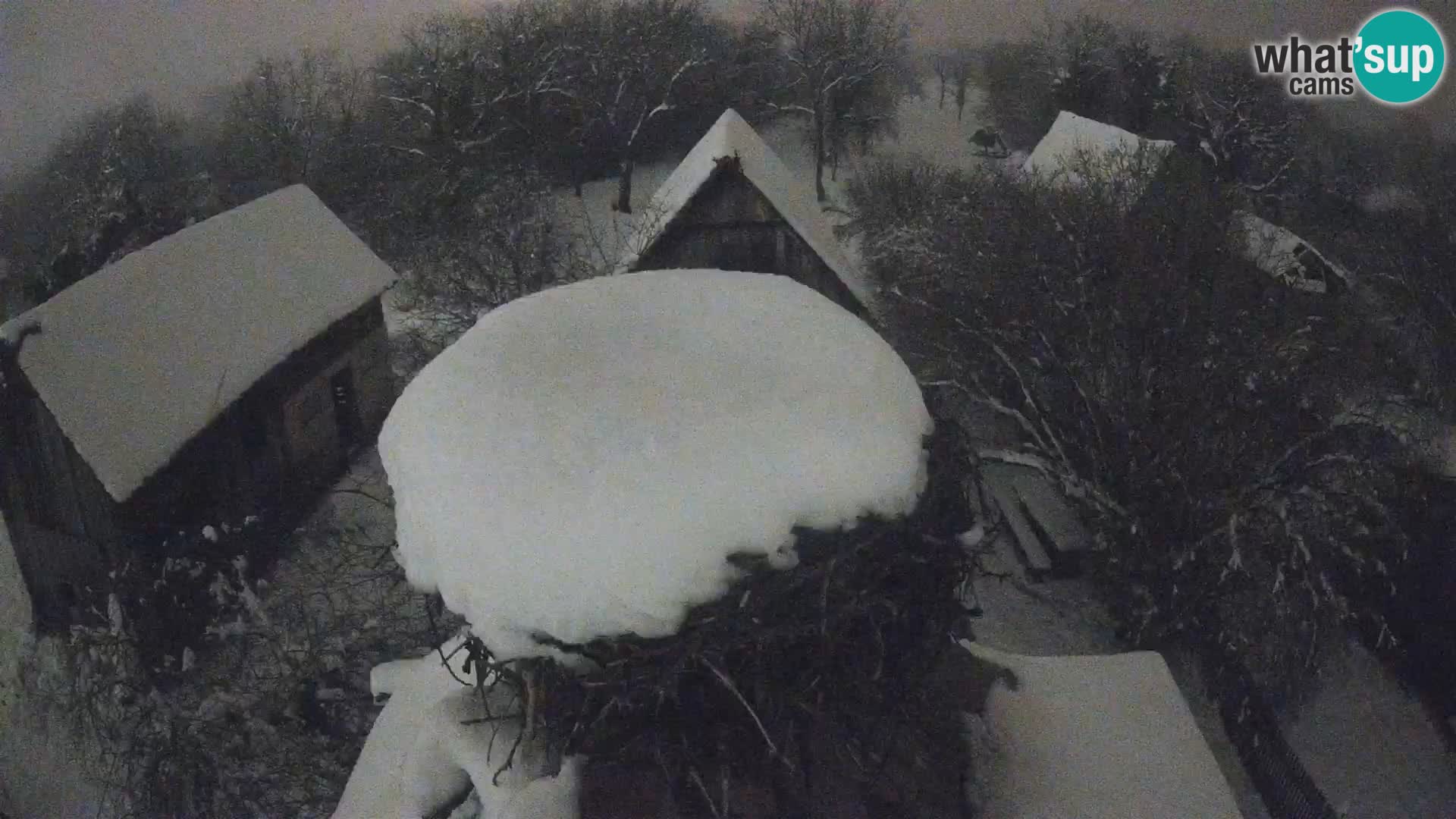 Webcam Europäisches Storchendorf – Naturpark Lonjsko polje