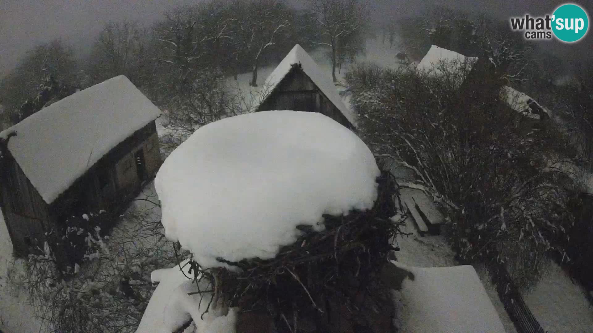 Webcam Europäisches Storchendorf – Naturpark Lonjsko polje