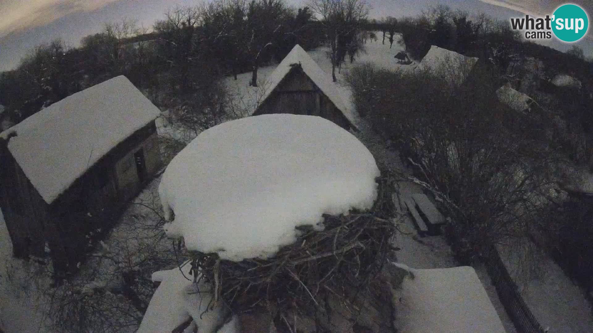 U živo Europsko selo roda – Park prirode Lonjsko polje