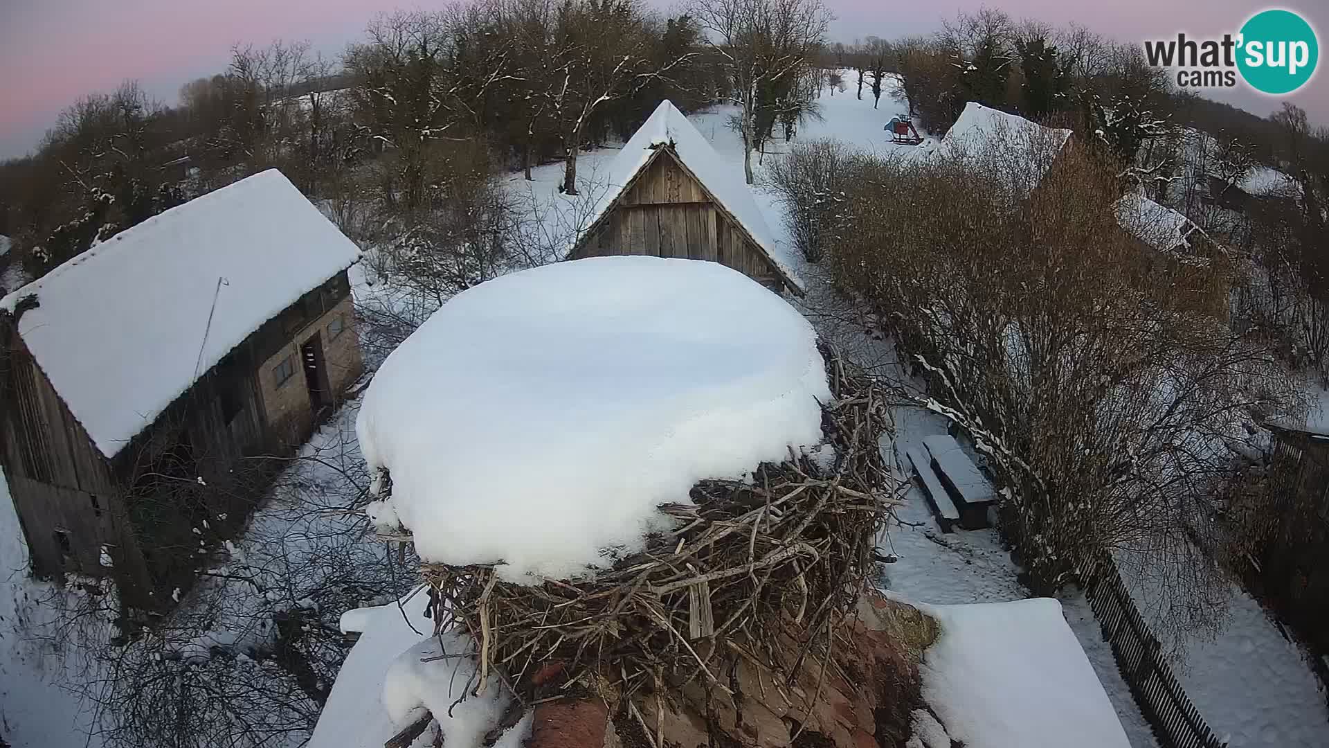 Webcam Europäisches Storchendorf – Naturpark Lonjsko polje