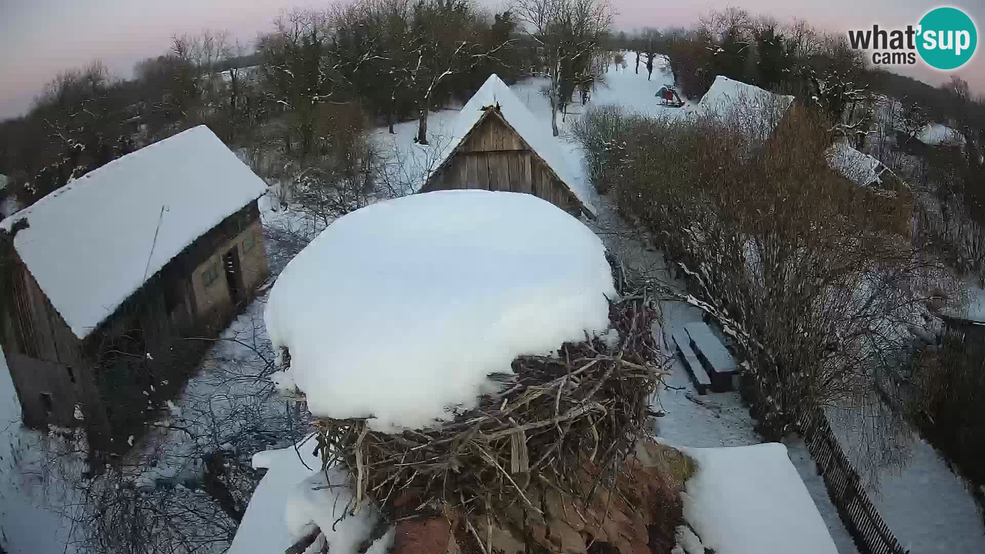 Webcam Europäisches Storchendorf – Naturpark Lonjsko polje