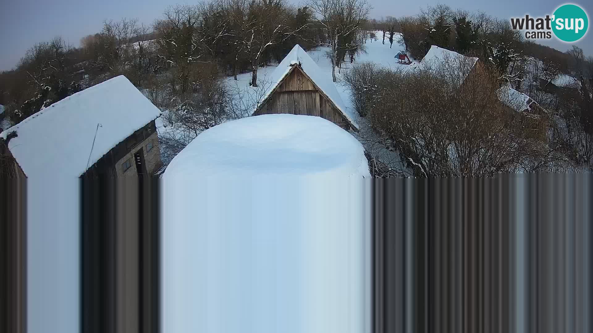 Pueblo europeo de cigüeñas camera en vivo Parque Natural Lonjsko polje