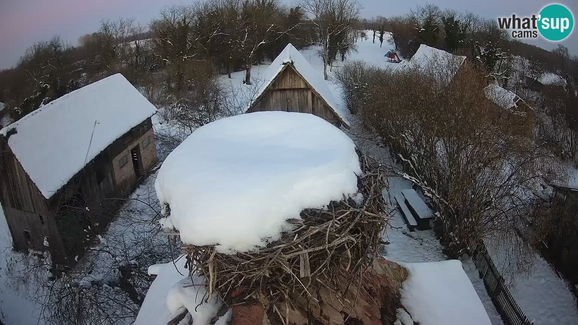 U živo Europsko selo roda – Park prirode Lonjsko polje