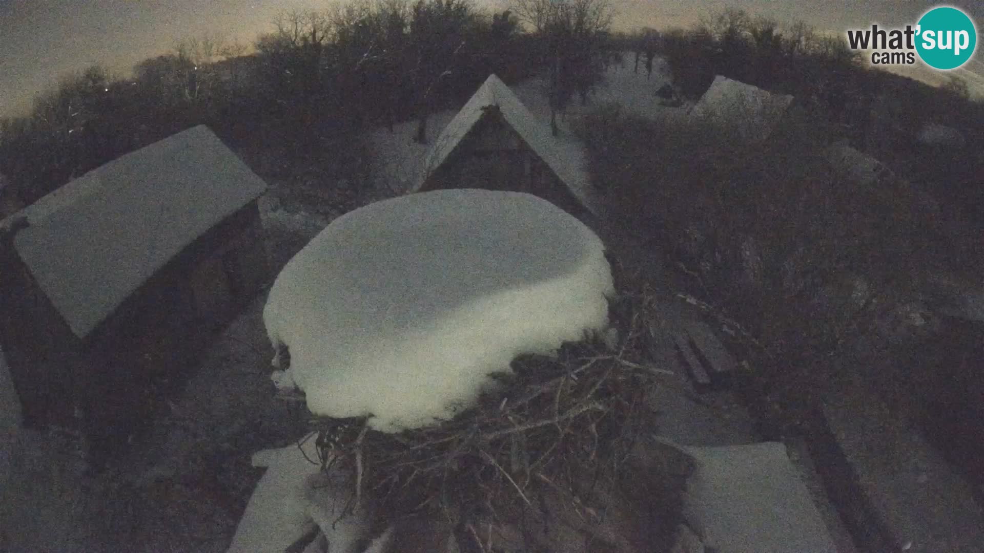 Webcam Europäisches Storchendorf – Naturpark Lonjsko polje