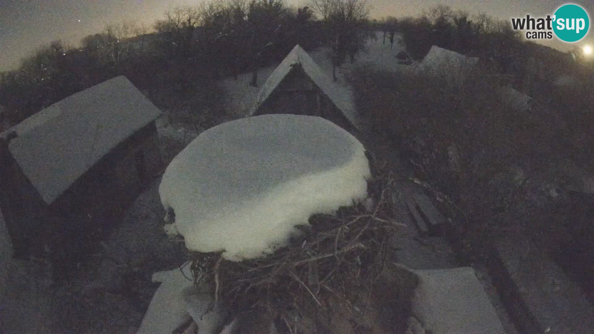 Webcam Europäisches Storchendorf – Naturpark Lonjsko polje