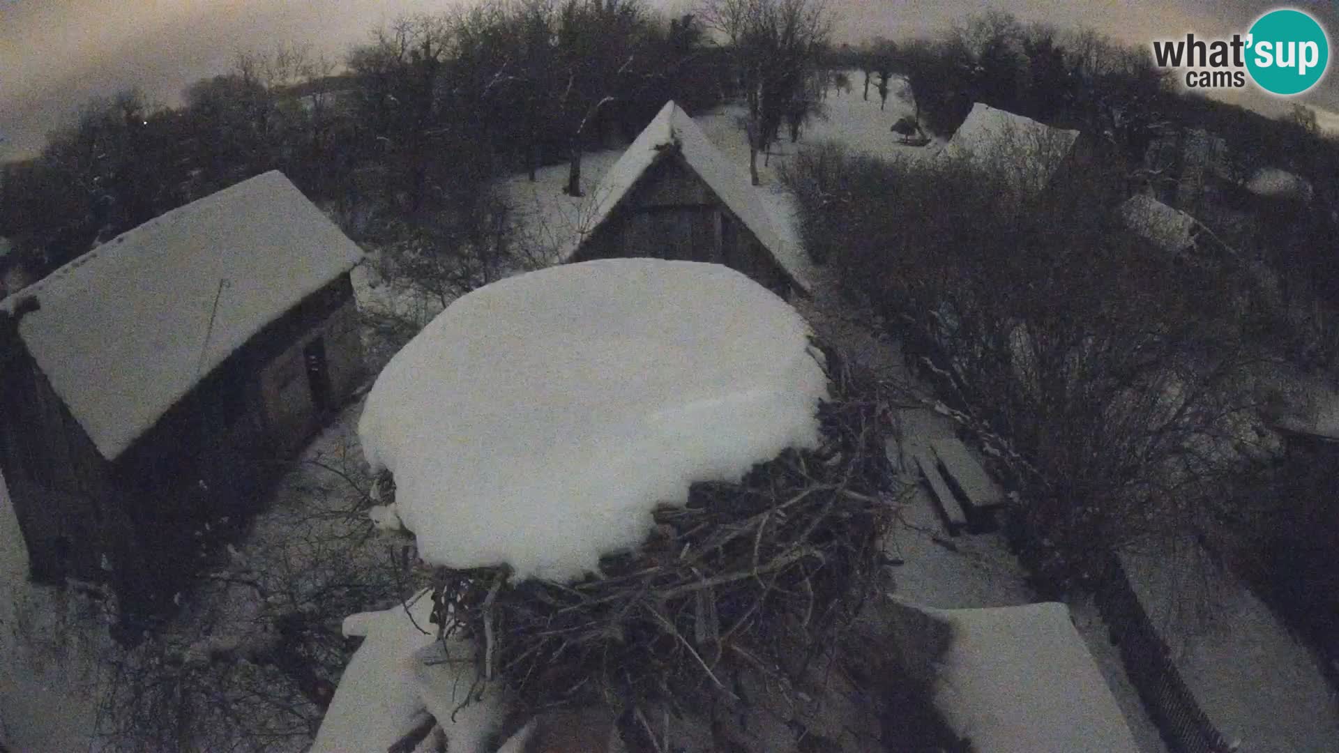 Evropska vas štorklje – Krajinski park Lonjsko polje spletna kamera