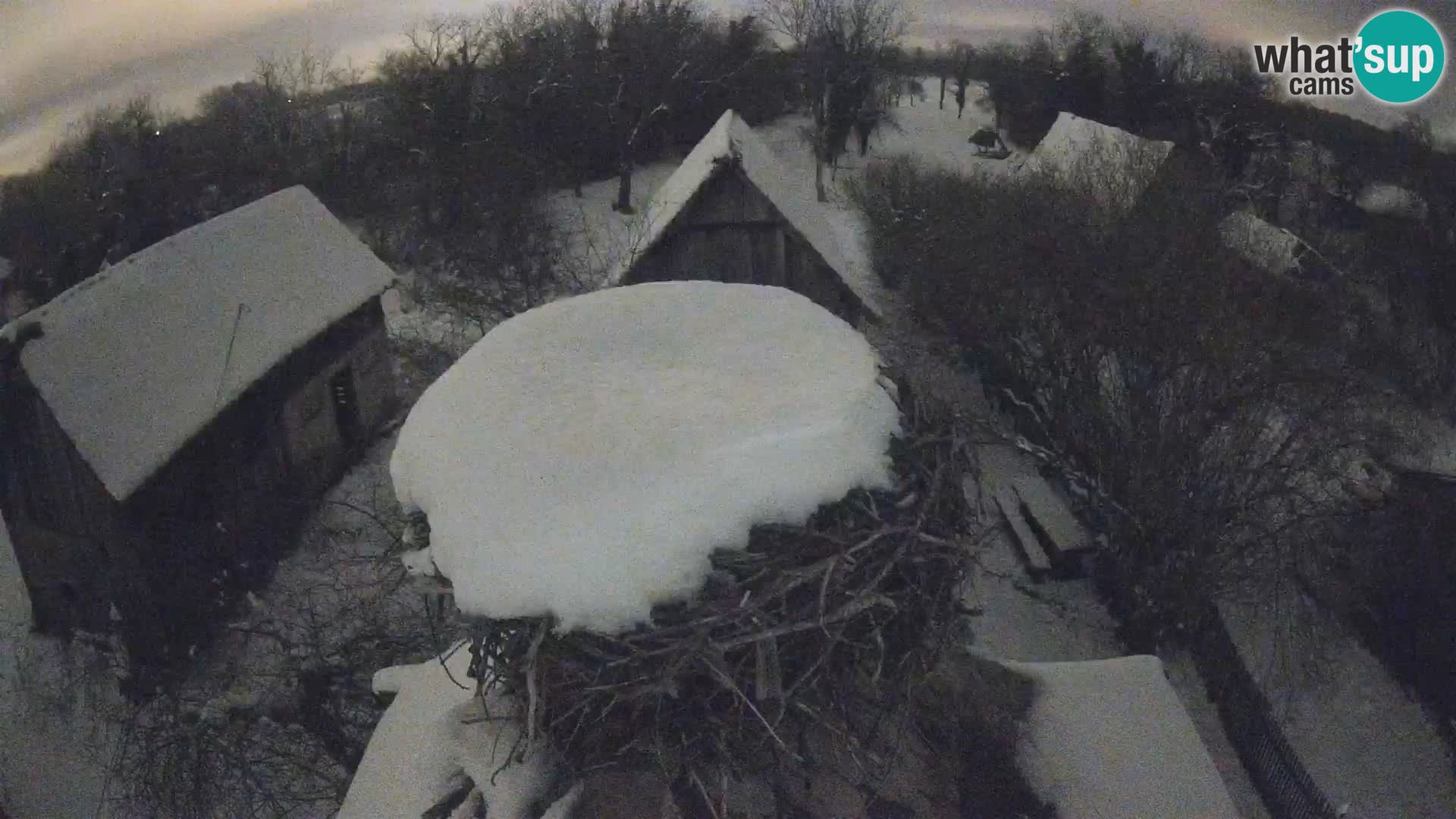 U živo Europsko selo roda – Park prirode Lonjsko polje