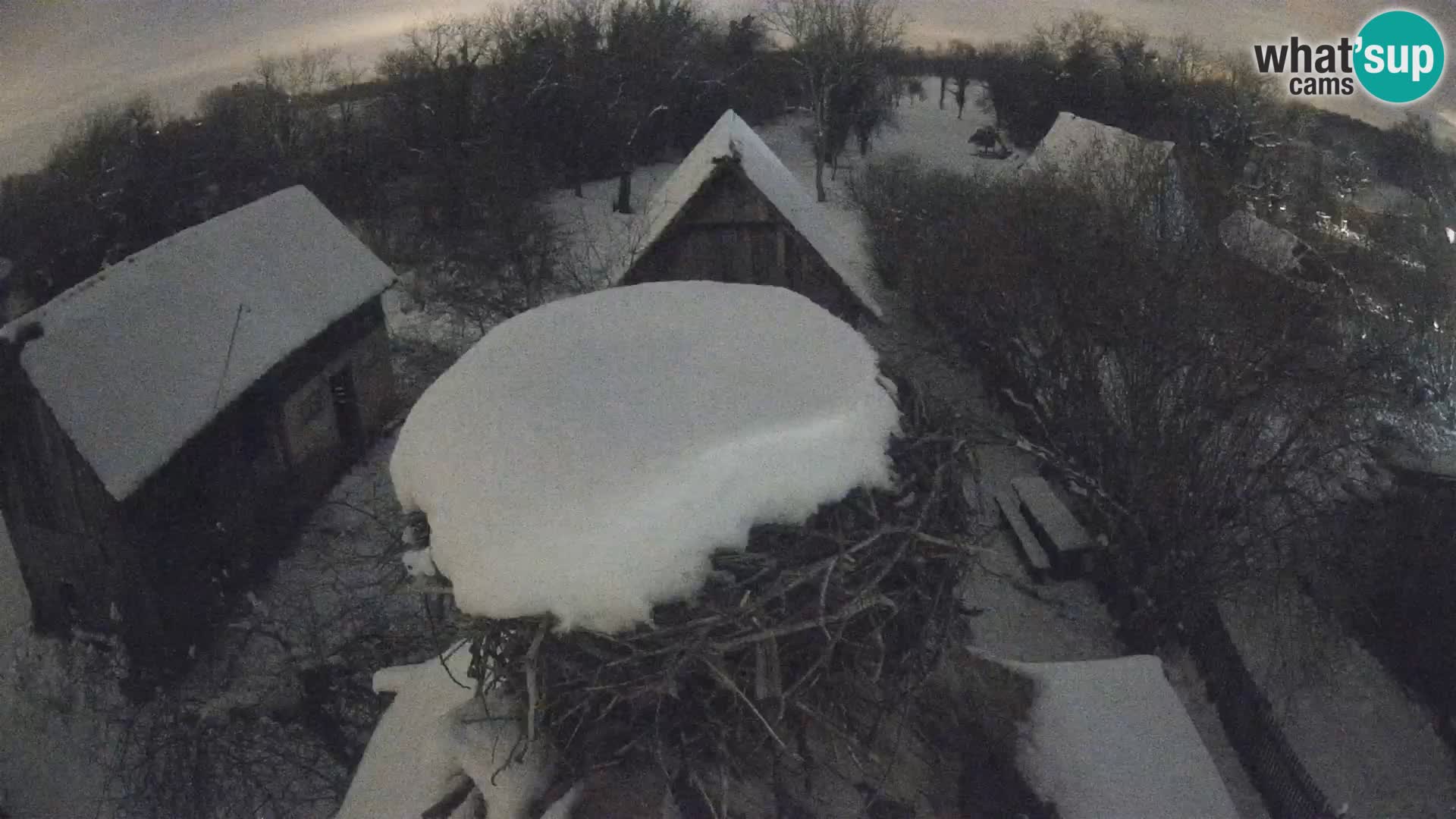 U živo Europsko selo roda – Park prirode Lonjsko polje