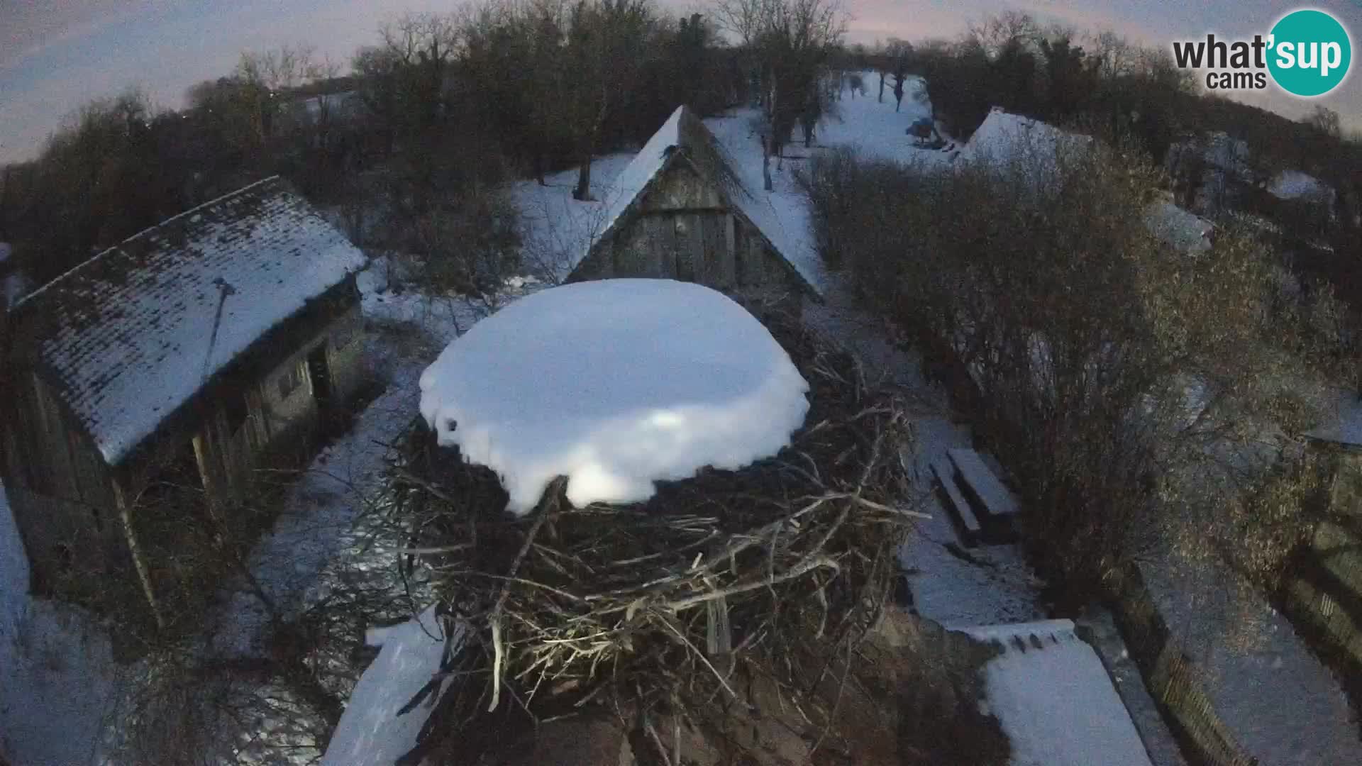 Webcam Europäisches Storchendorf – Naturpark Lonjsko polje
