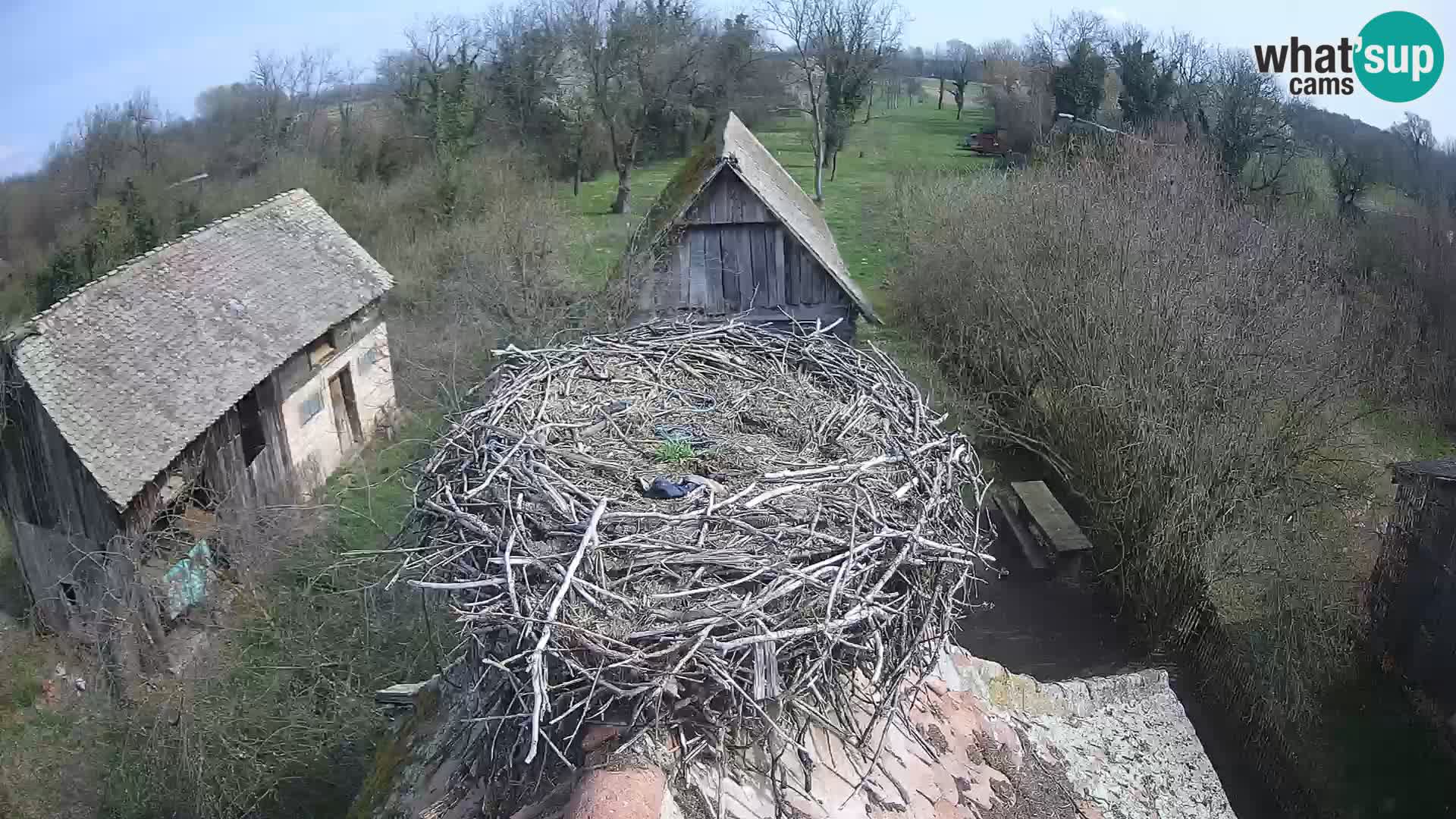 U živo Europsko selo roda – Park prirode Lonjsko polje