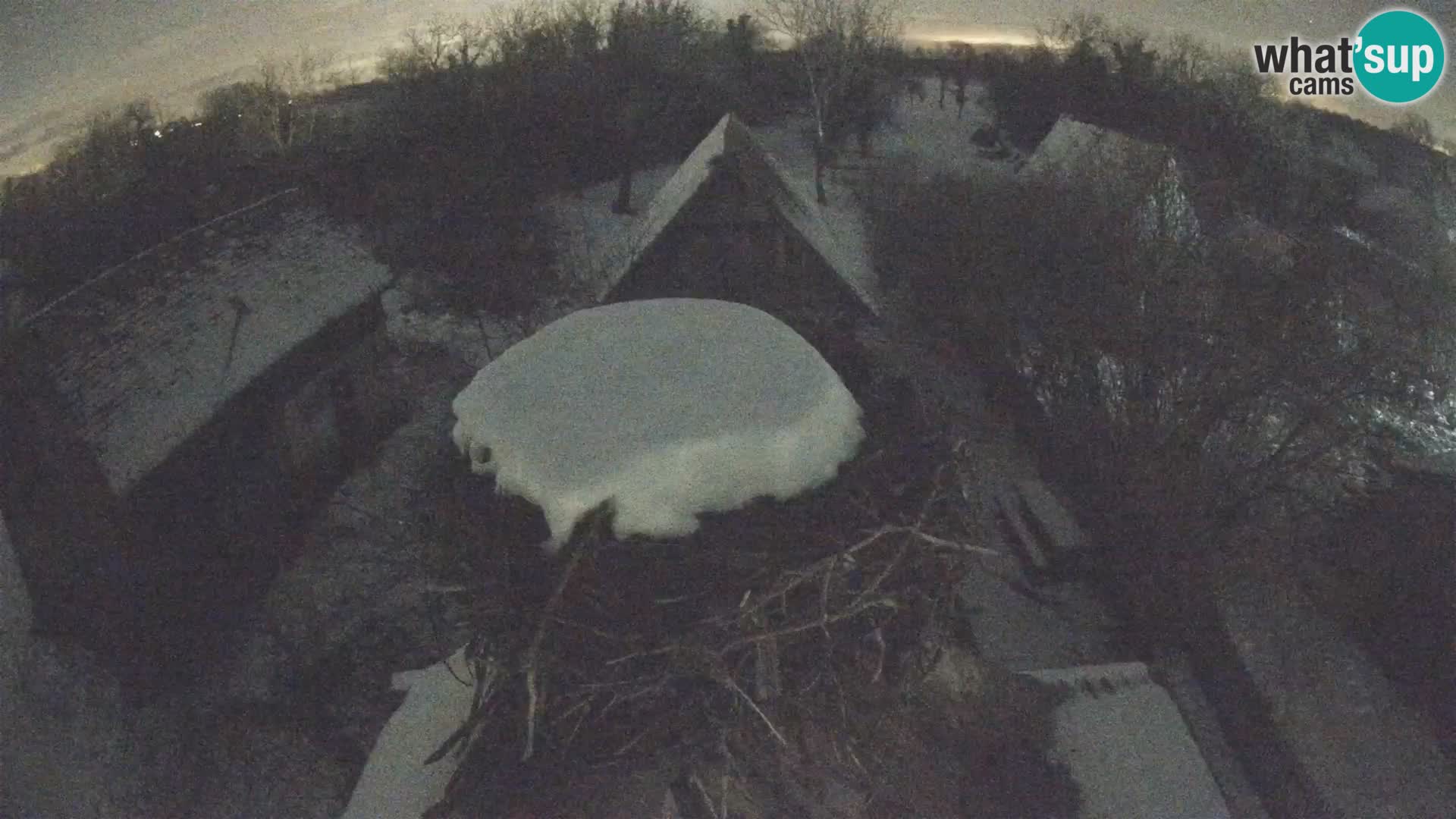 Evropska vas štorklje – Krajinski park Lonjsko polje spletna kamera