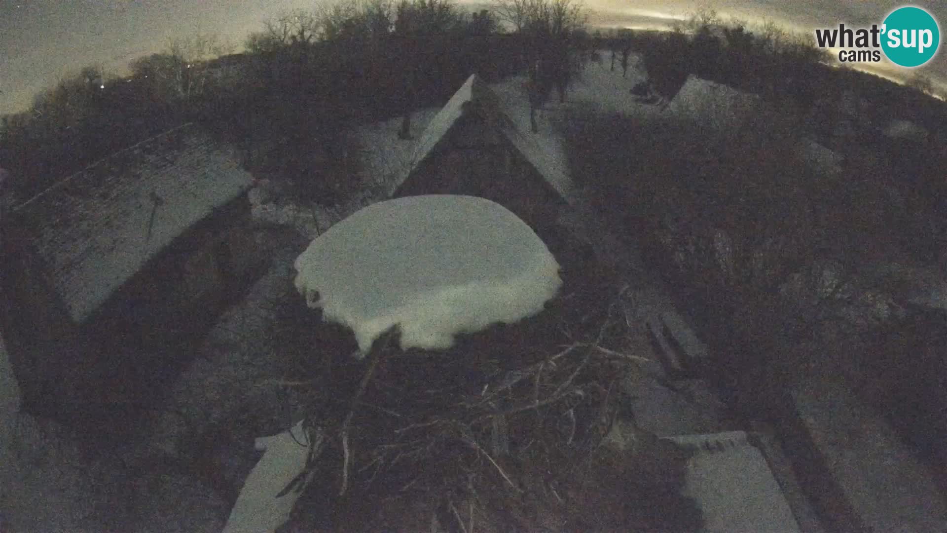 U živo Europsko selo roda – Park prirode Lonjsko polje